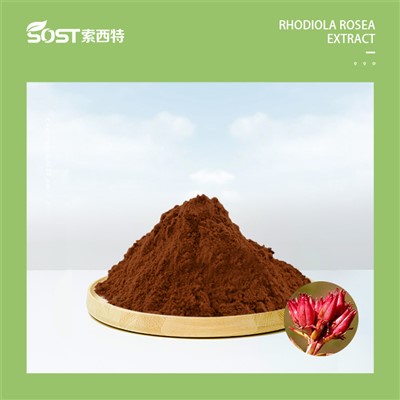 Nike schoenen 20240808